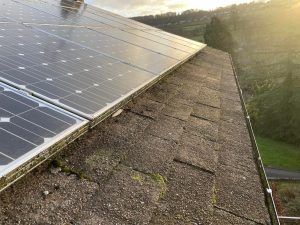 Springtime Bird-Proofing Solar Panels