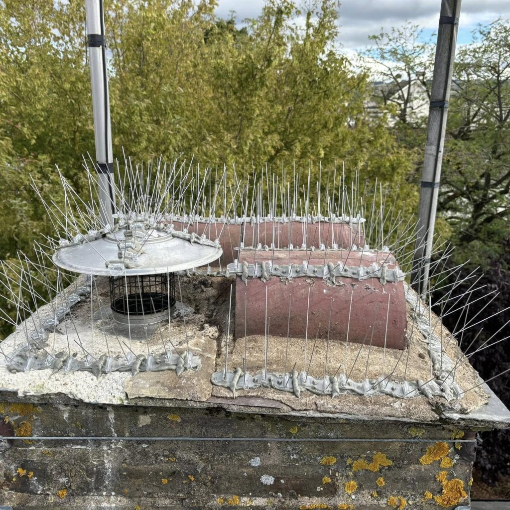 A chimney with bird control spikes on it