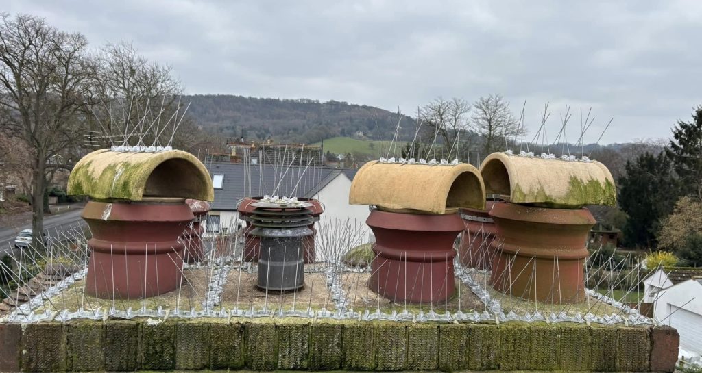 Bird spikes on a chimney stack
