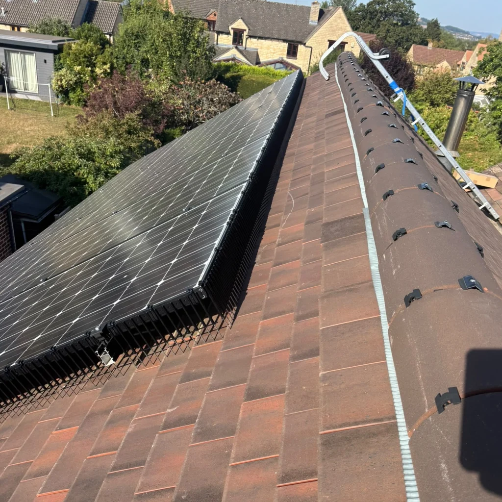 Pigeon proofed solar panels and a ladder on a red tiled roof