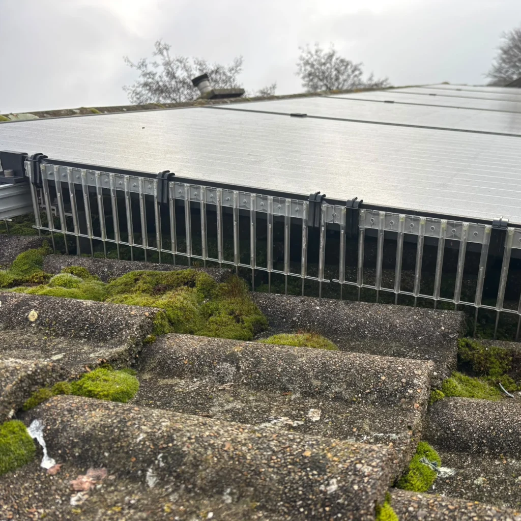 Solar panels that have been bird proofed 